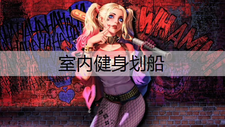 室内健身划船