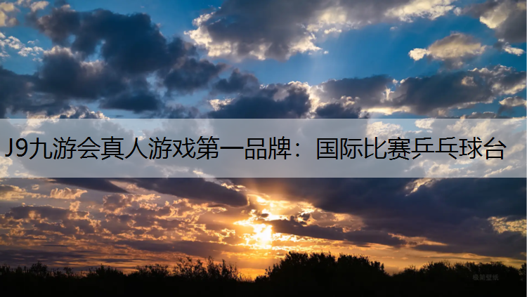 J9九游会真人游戏第一品牌：国际比赛乒乓球台
