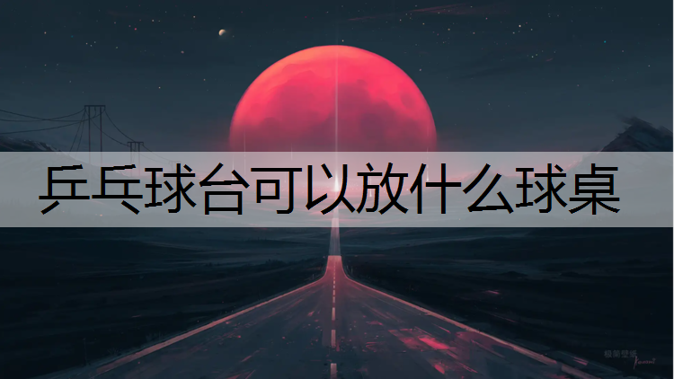 乒乓球台可以放什么球桌
