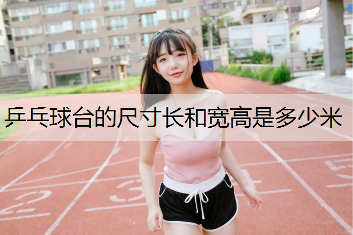 乒乓球台的尺寸长和宽高是多少米