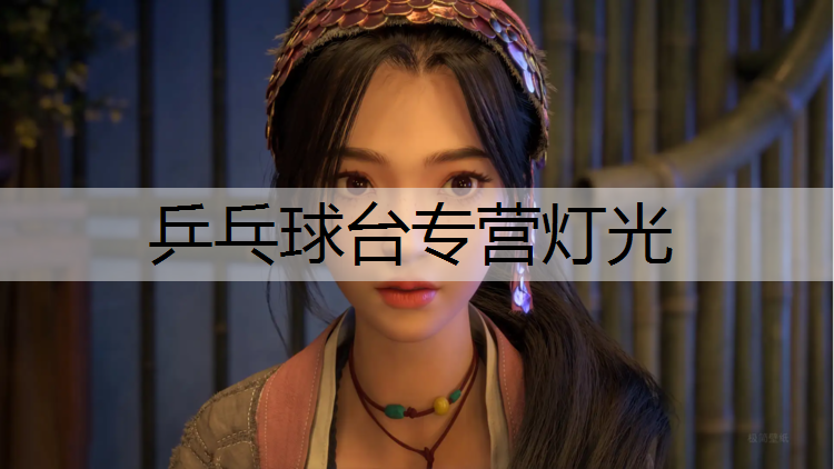 乒乓球台专营灯光