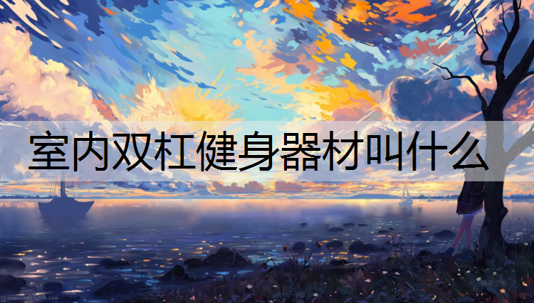 室内双杠健身器材叫什么