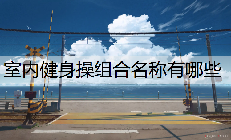 室内健身操组合名称有哪些