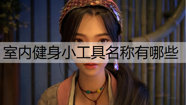 室内健身小工具名称有哪些