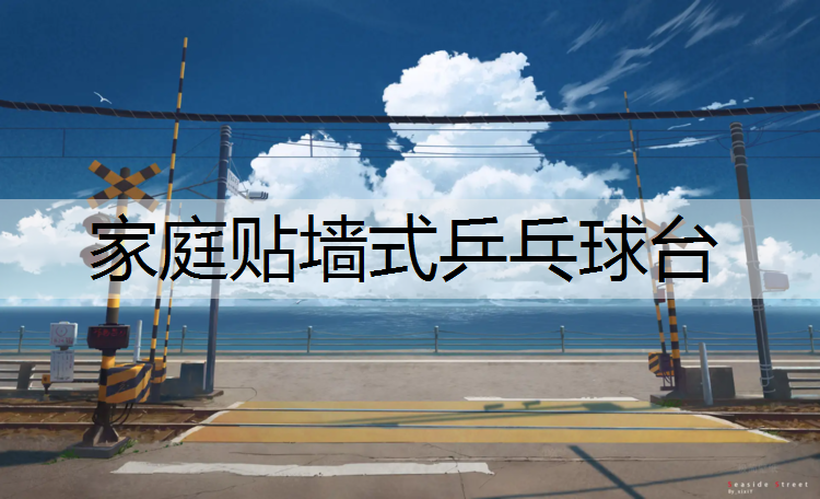 家庭贴墙式乒乓球台