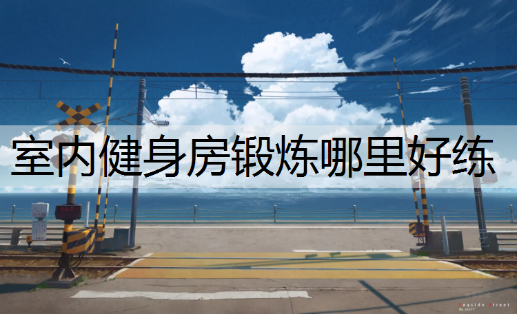 室内健身房锻炼哪里好练