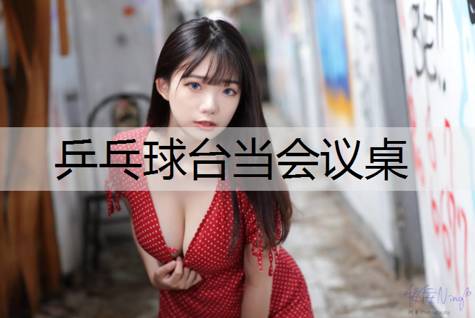 乒乓球台当会议桌