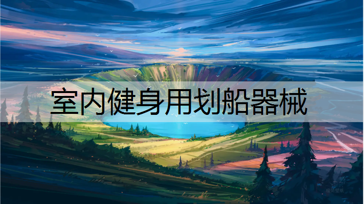 室内健身用划船器械