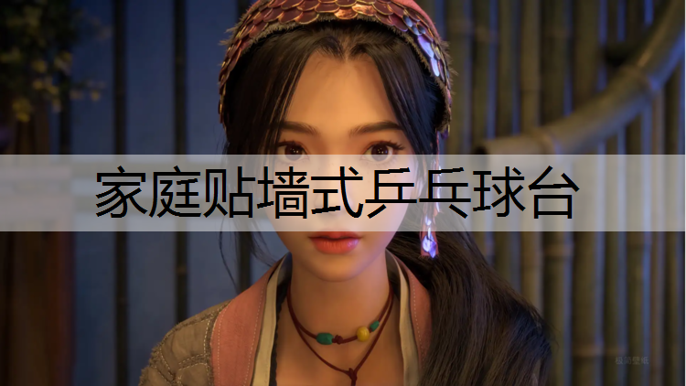 家庭贴墙式乒乓球台